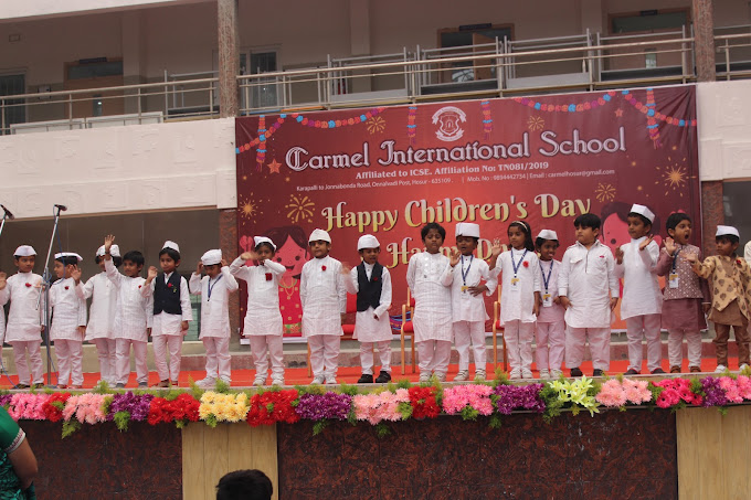 Carmel International School